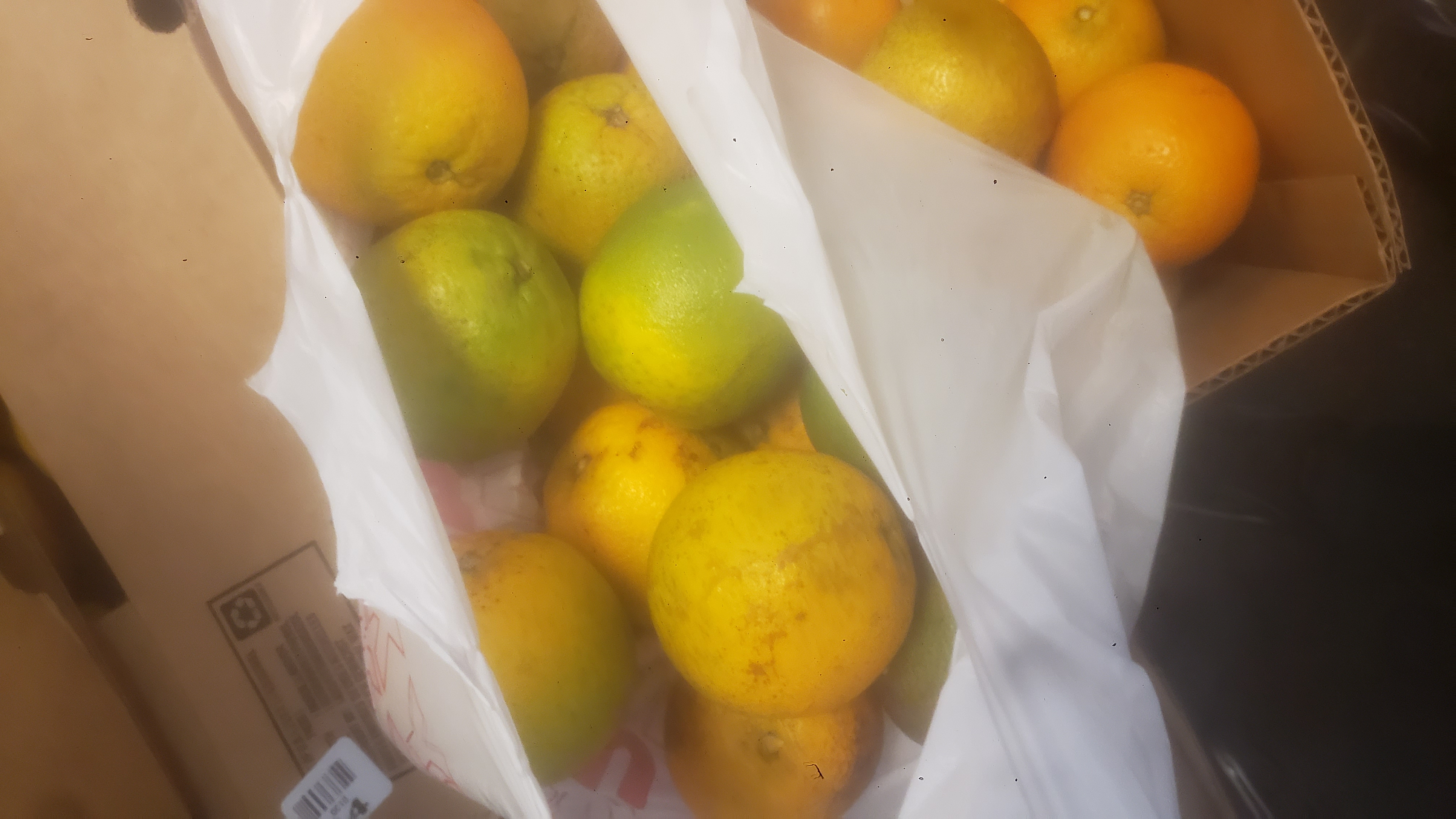 Plastic bag filled with oranges.